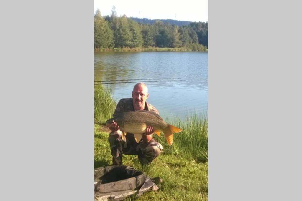 Les Gites De L Etang :Studio A 20 Mn De Gerardmer La Chapelle  Exterior foto