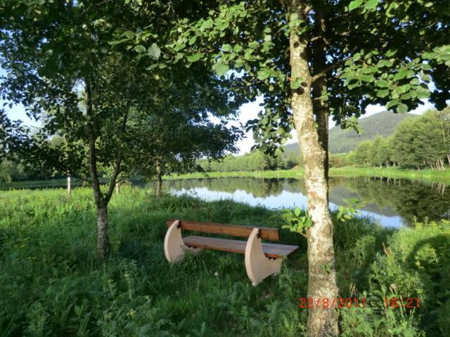 Les Gites De L Etang :Studio A 20 Mn De Gerardmer La Chapelle  Exterior foto