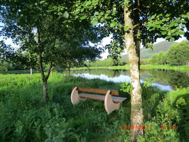 Les Gites De L Etang :Studio A 20 Mn De Gerardmer La Chapelle  Exterior foto