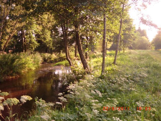 Les Gites De L Etang :Studio A 20 Mn De Gerardmer La Chapelle  Exterior foto
