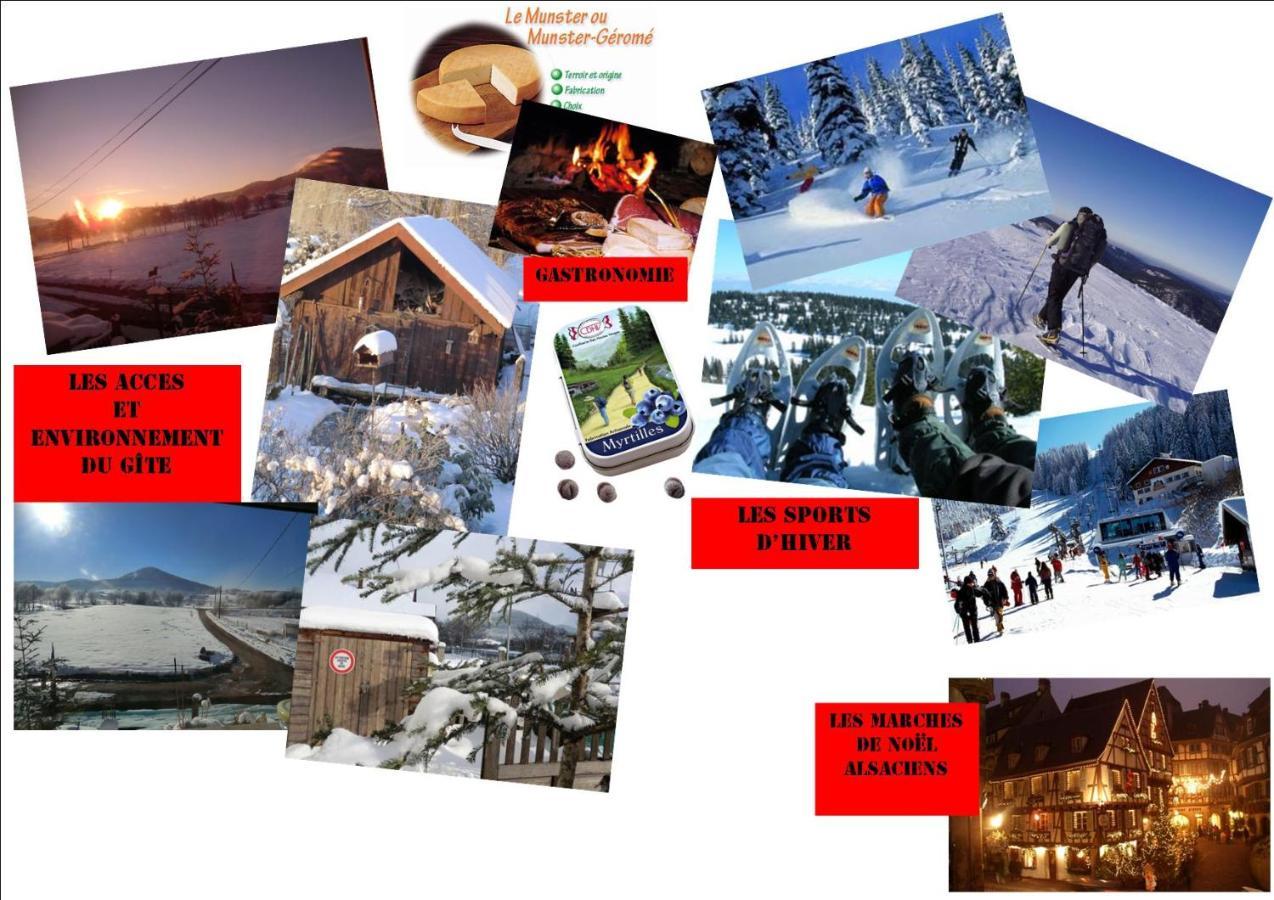 Les Gites De L Etang :Studio A 20 Mn De Gerardmer La Chapelle  Exterior foto